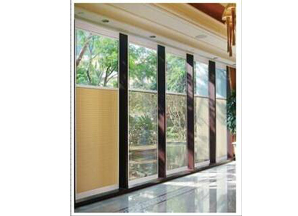 Electric Control Blinds