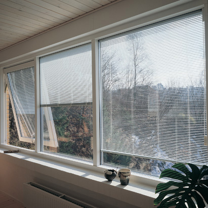 Built-in Window Blinds